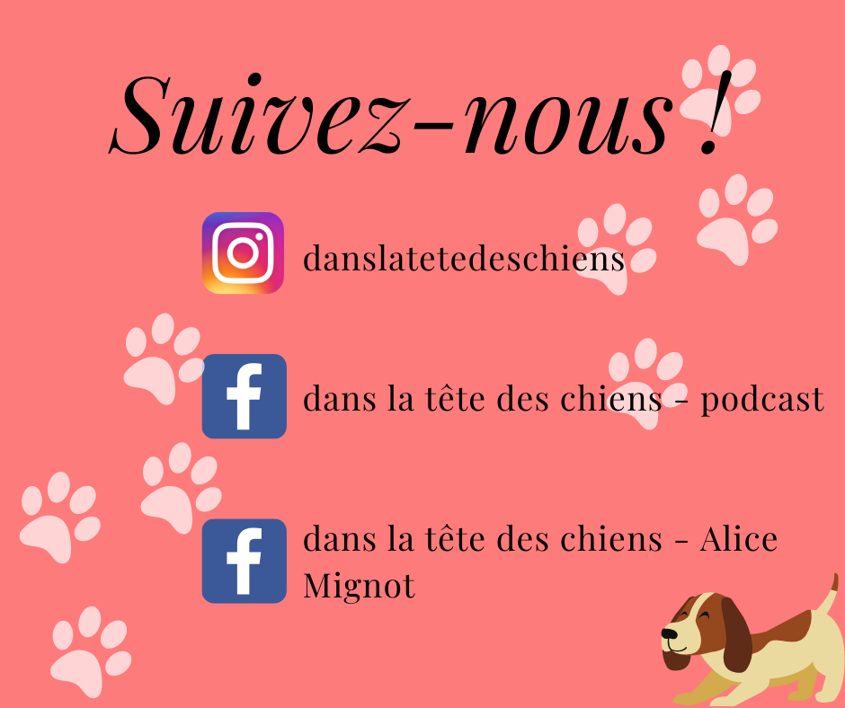 Suivez-nous !.png