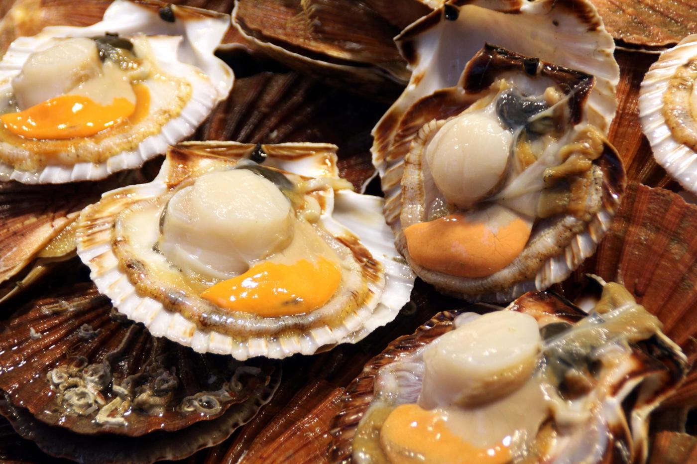 saint jacques podcast tasty life magazine - copie.jpg