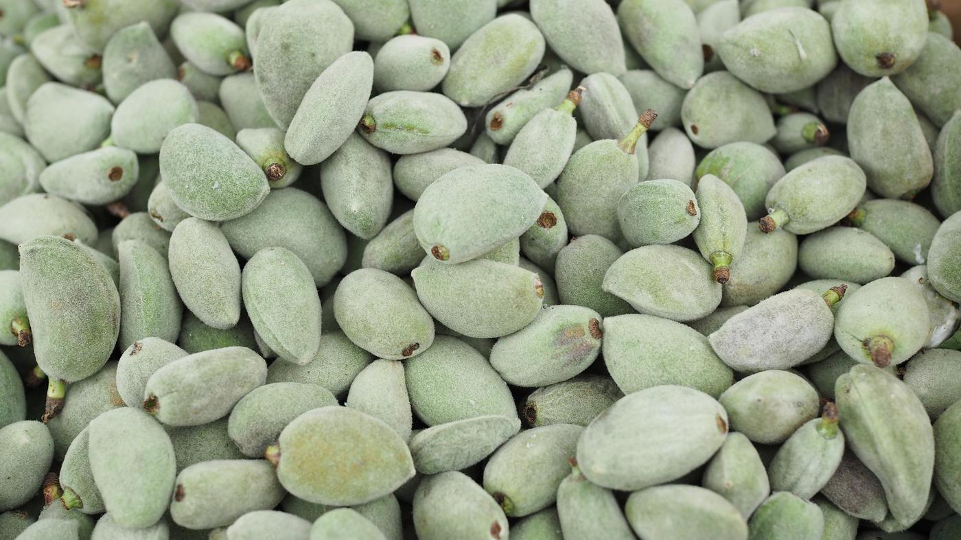 amande tasty life magazine podcast.jpg