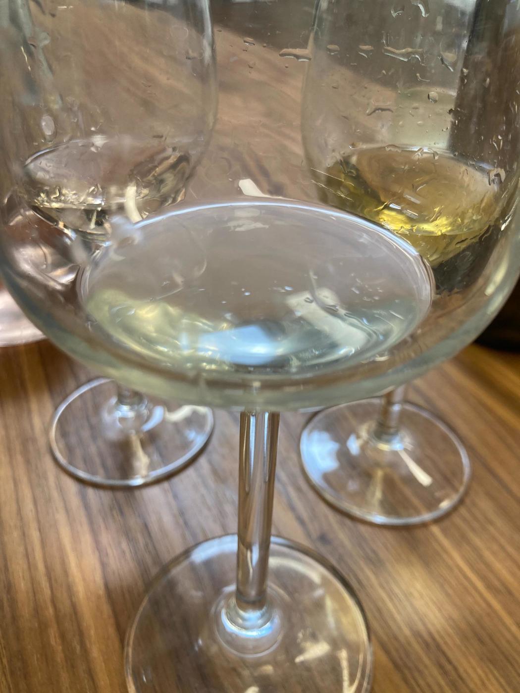 sake tasty life magazine podcast.JPG