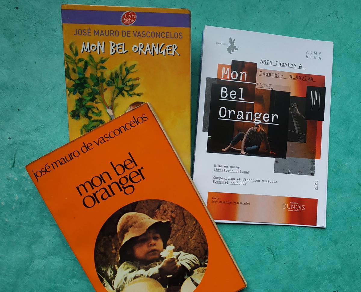 "Mon bel oranger", de José Mauro de Vasconcelos, porté à la scène
