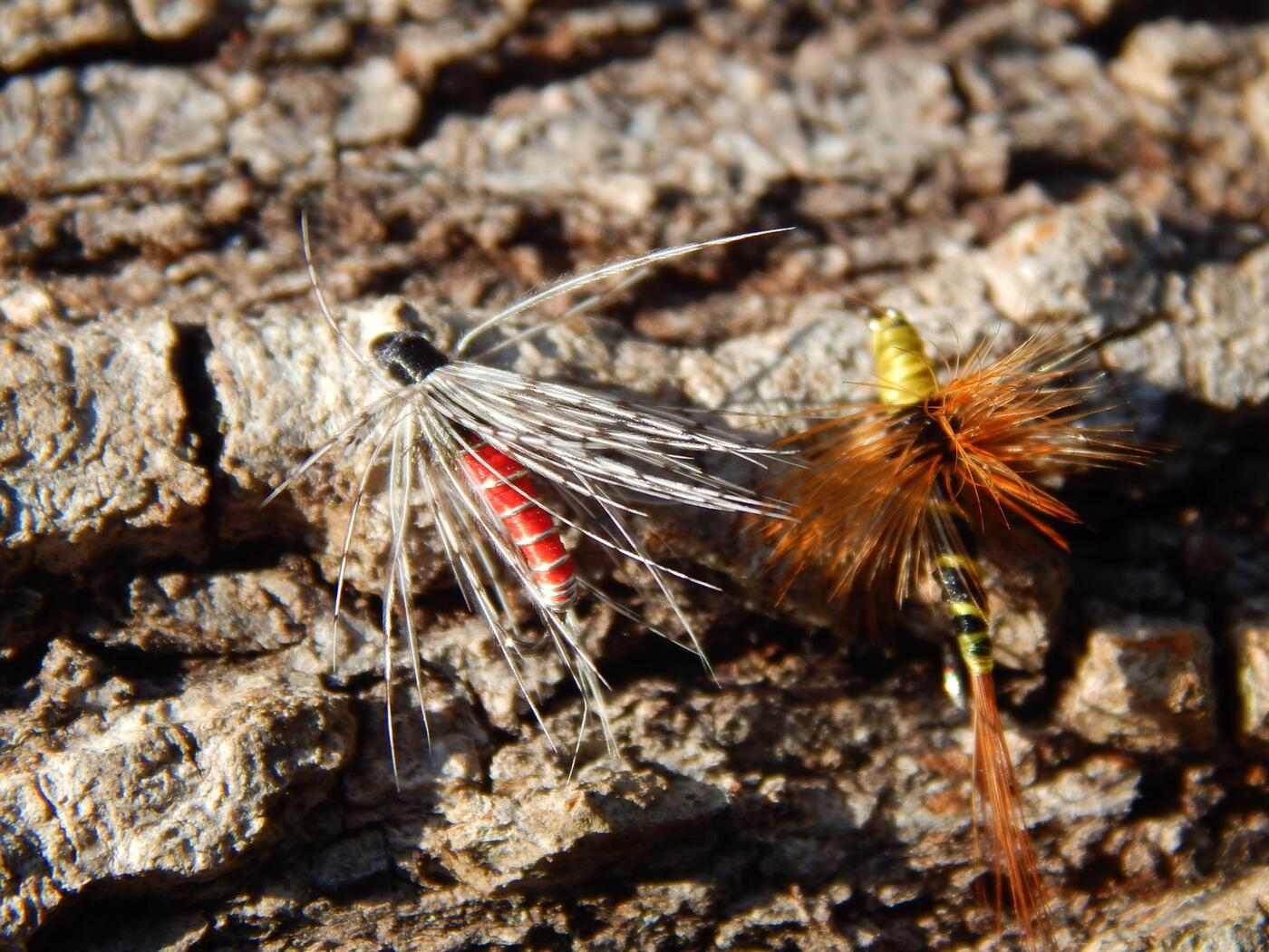 DSCN8699.JPG