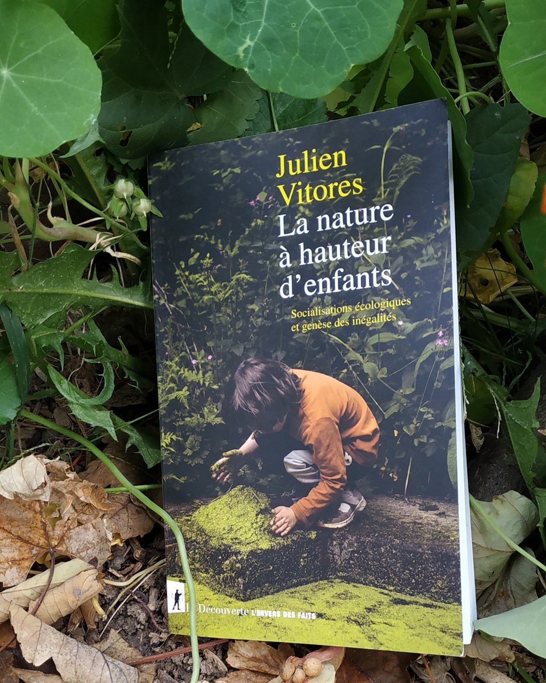 La nature a hauteur d'enfants 3 b.jpg