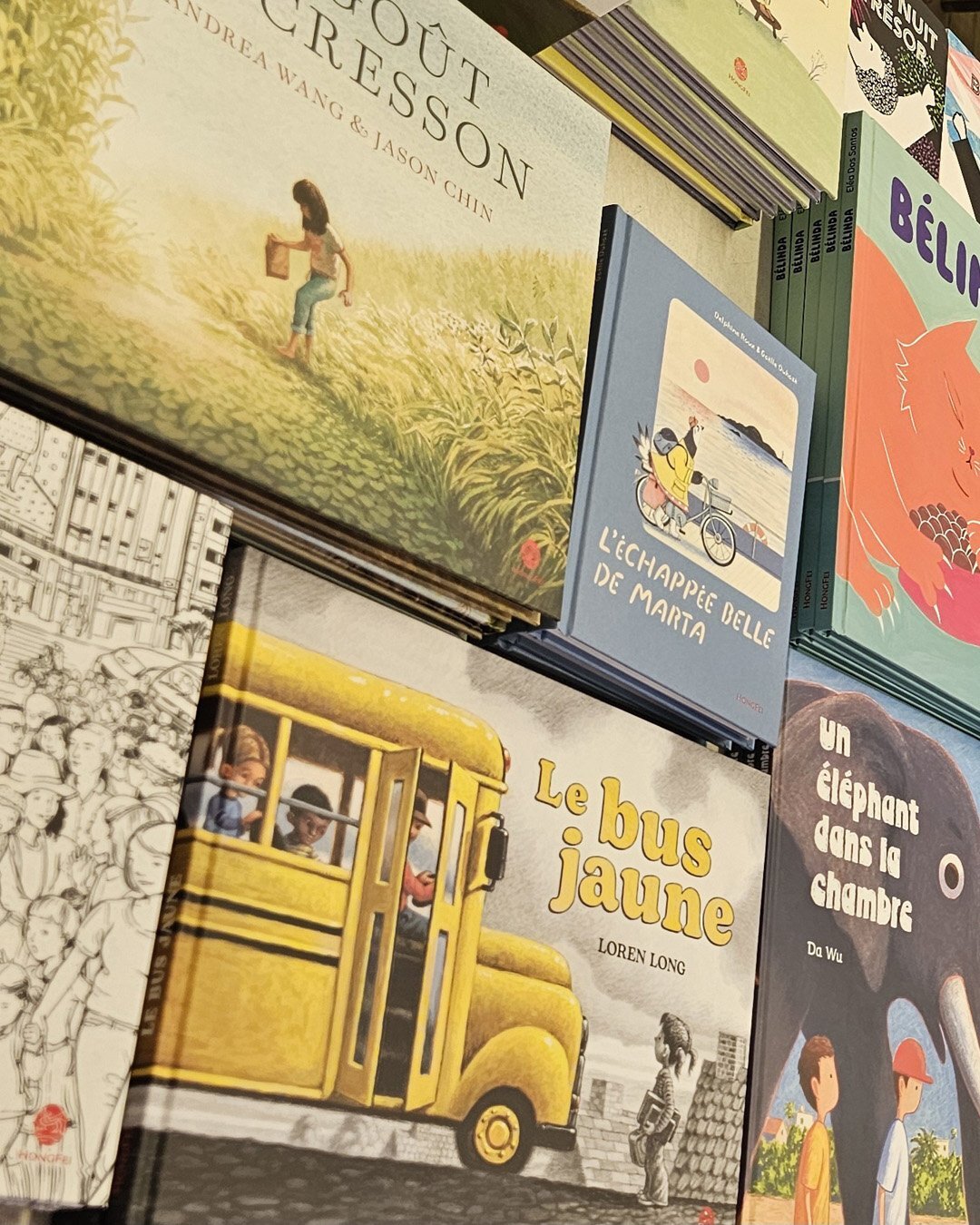 livres HongFei 2.jpg